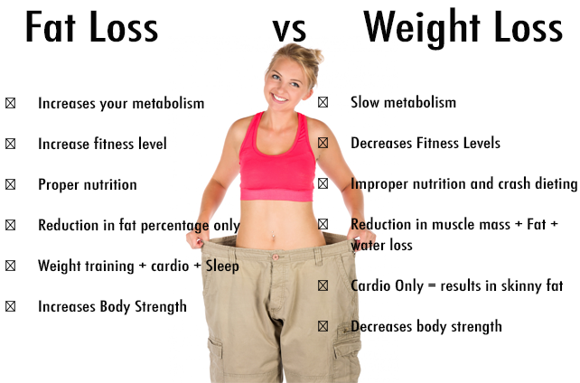 Understanding Weight Fat And Muscle Loss By Popular Fitness Center Of Bangalore Medium