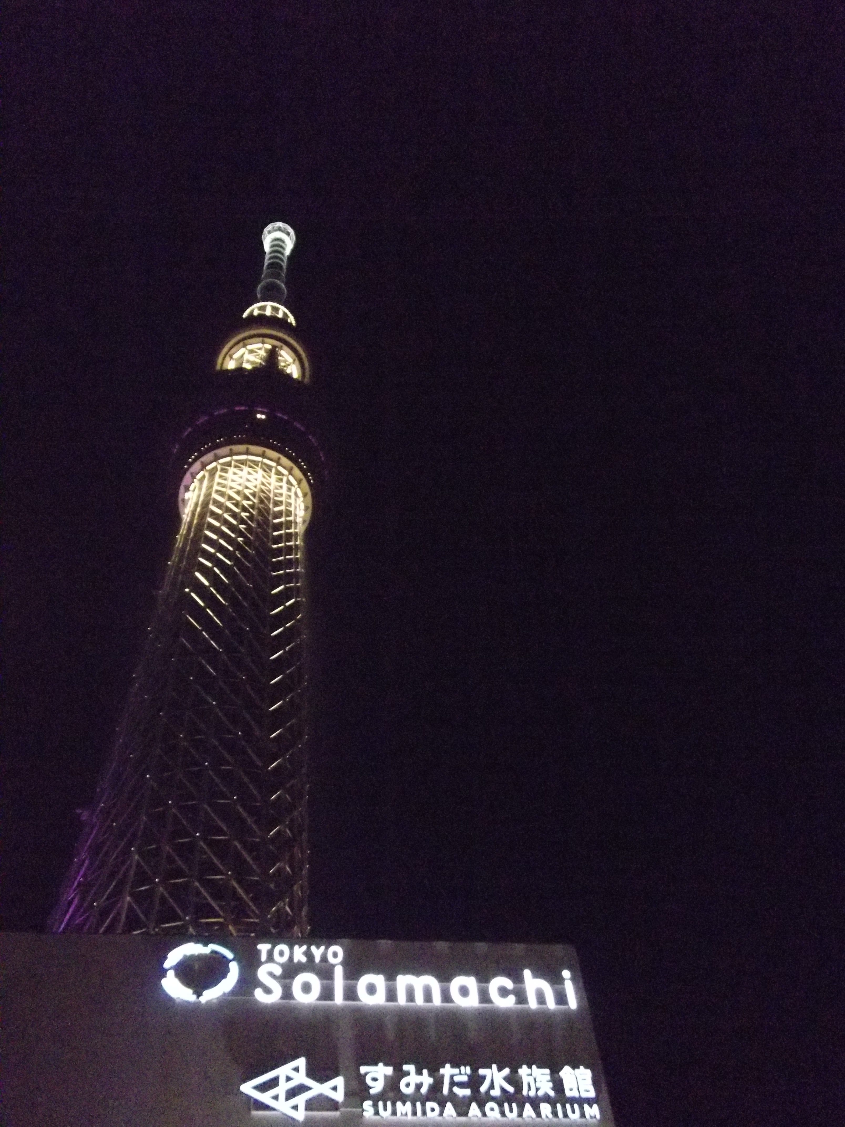 旅の思い出 晴空 天空 スカイツリー 後博士生活 Medium