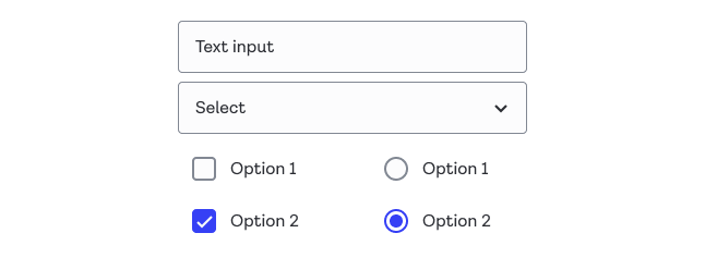 Comparison between a textbox and select box with 1px borders, and checkbox and radio below with 2px borders