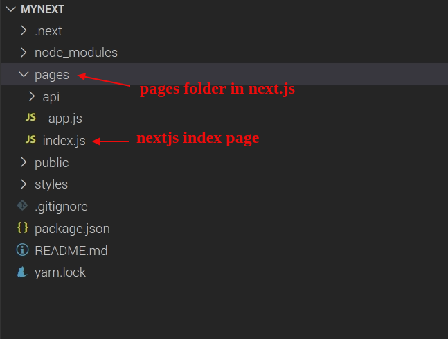 Next Js dynamic routes