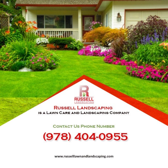 best lawn maintenance