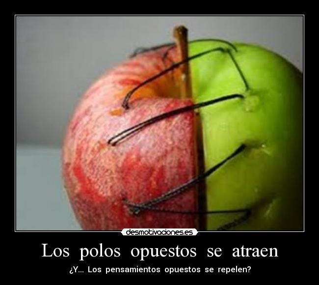 del Amor romántico en un 14 de Febrero | by Yessica Anel | Medium