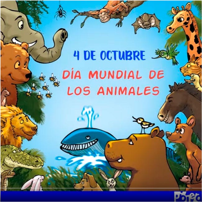 Día Mundial de los animales. El 4 de octubre de 1929 se declaró por… | by  Revista Pionero | Revista Pionero | Medium