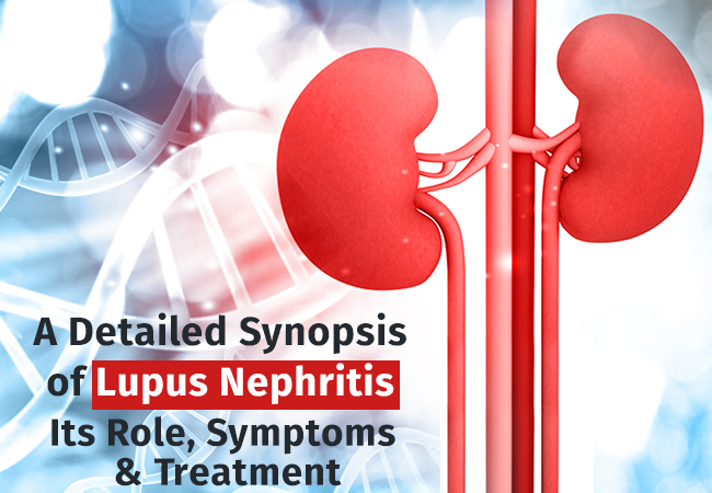 A detailed synopsis of lupus nephritis its role symptoms treatment 