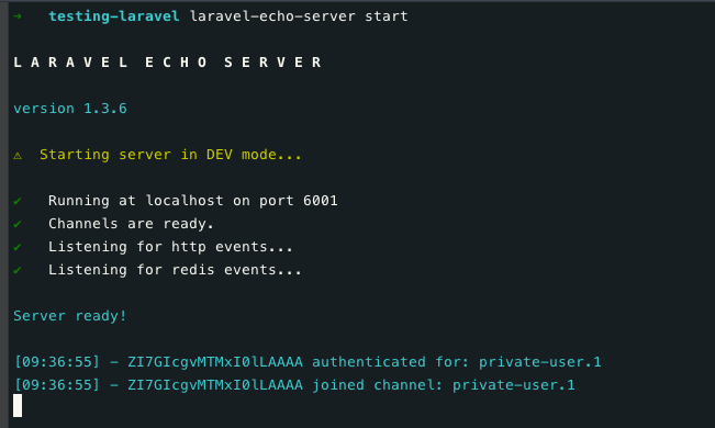 Laravel Echo Server — Private Channels | by Dennis Smink | Medium