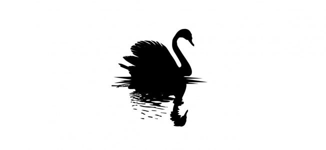 10 frases destacadas de 'El cisne negro' | by Leader Summaries | Medium