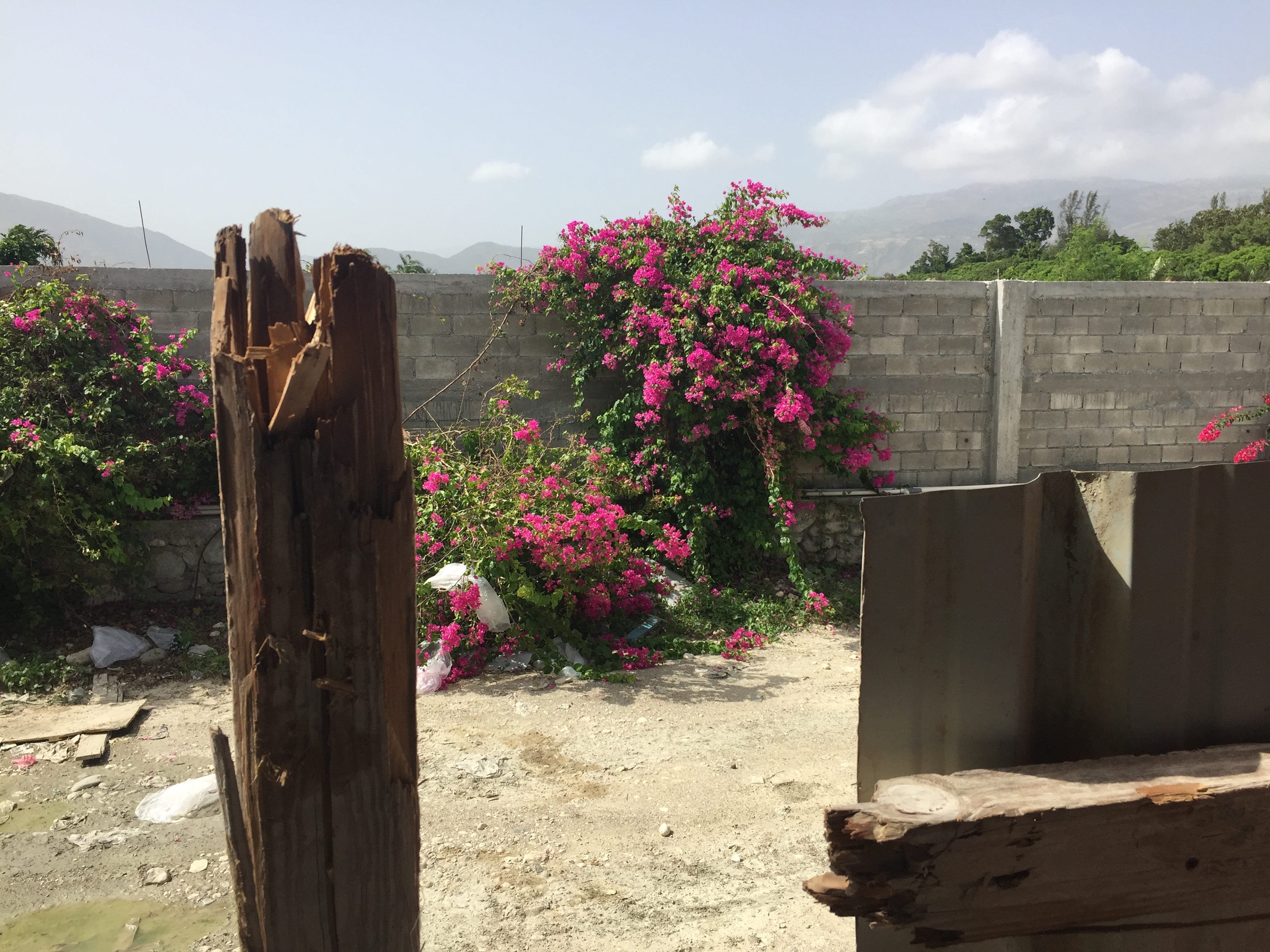 Port Au Prince Captivated By The Capital Of Haiti By Carl William Black Medium