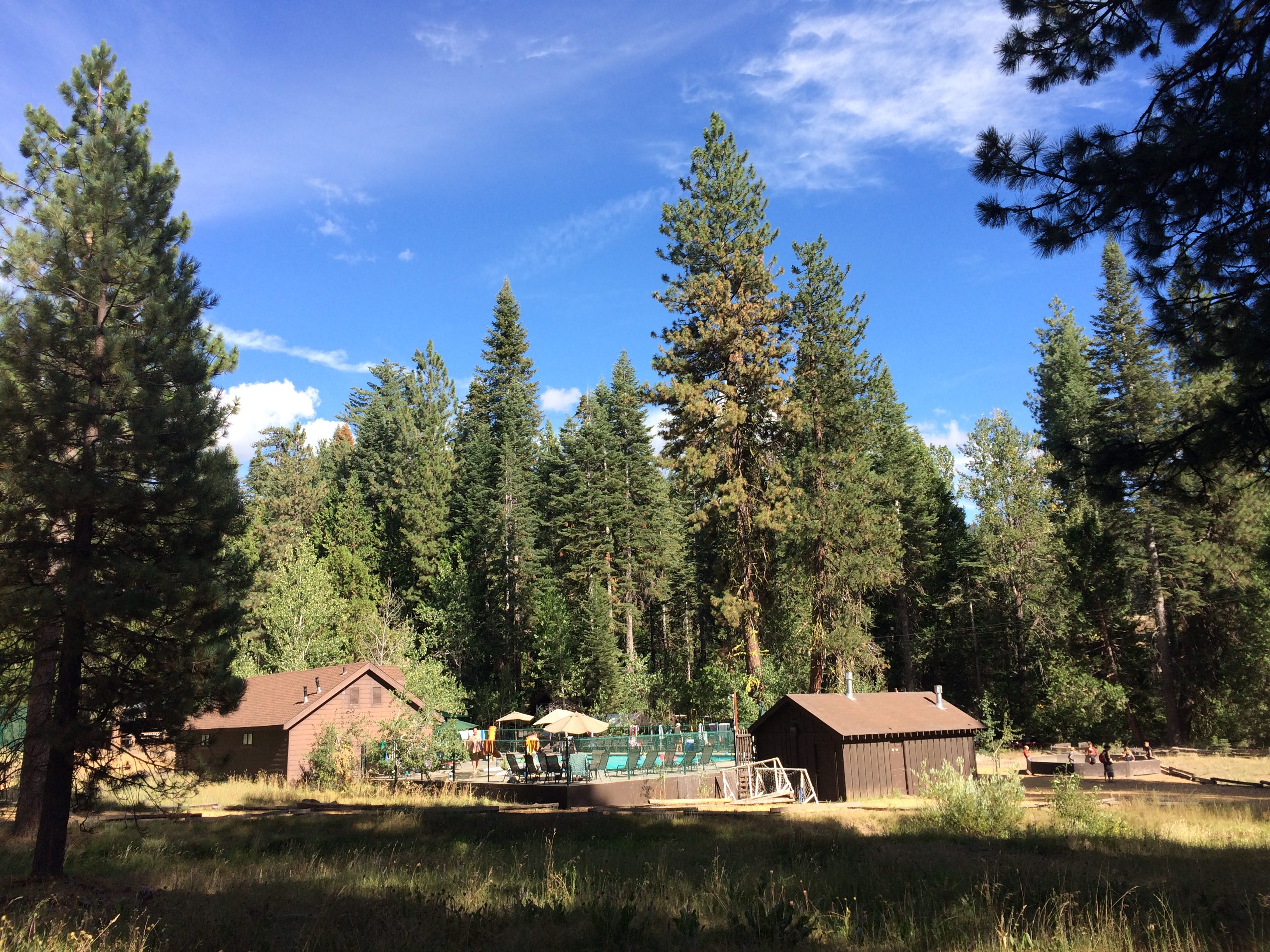I Survived Family Camp John Kovacevich Medium