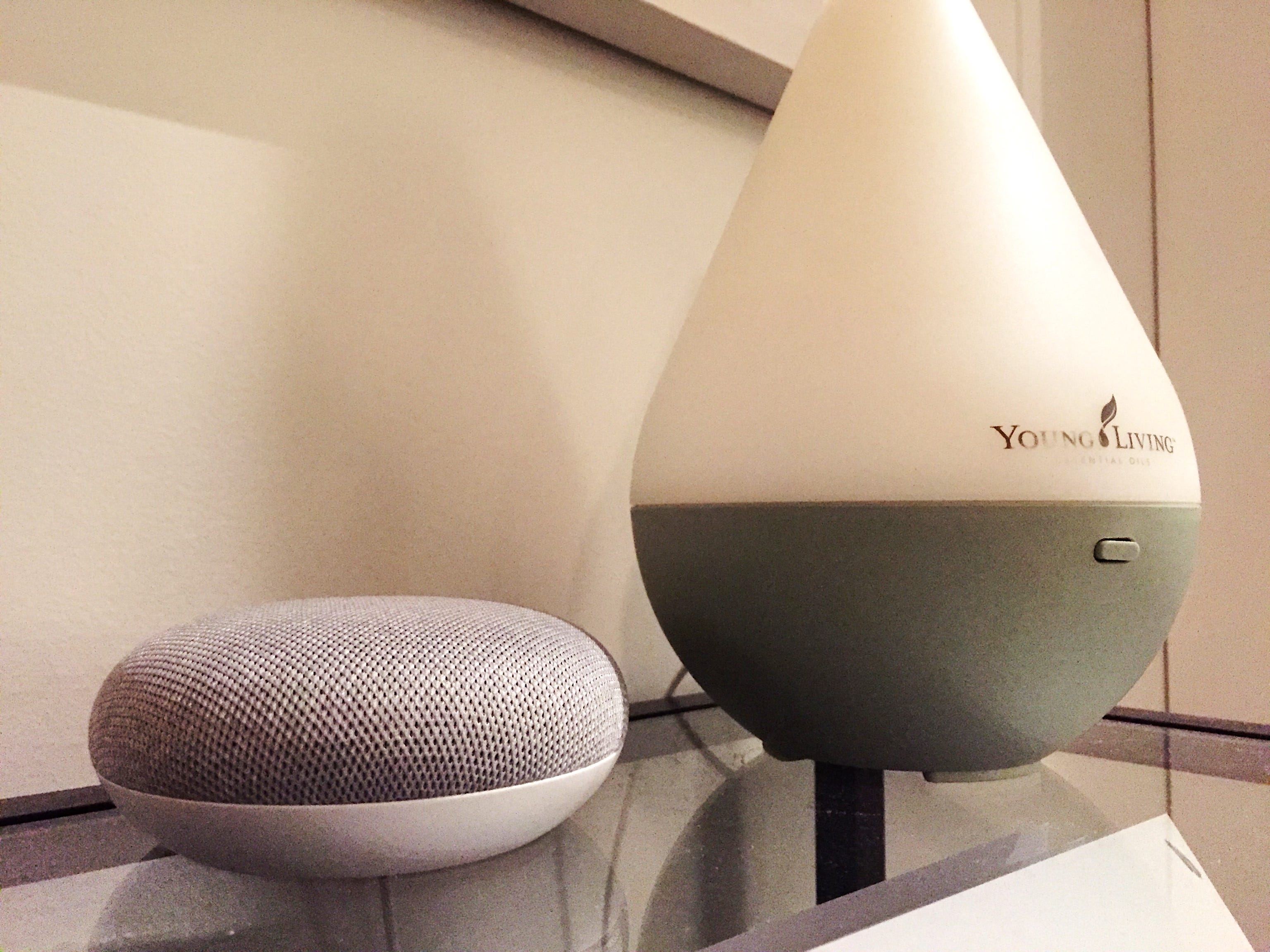 hey google home mini