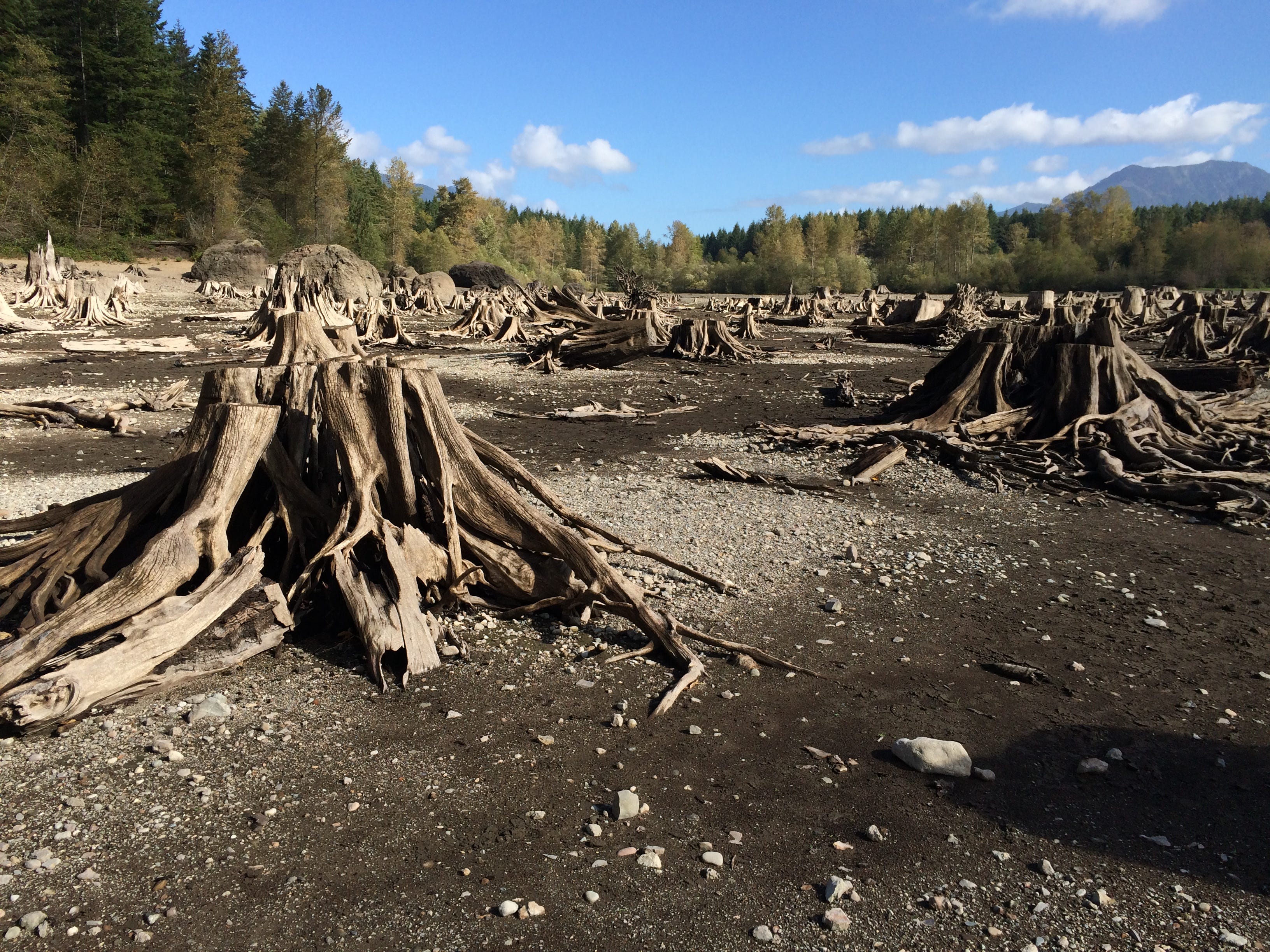 Staring Into The Past And The Future At Rattlesnake Lake