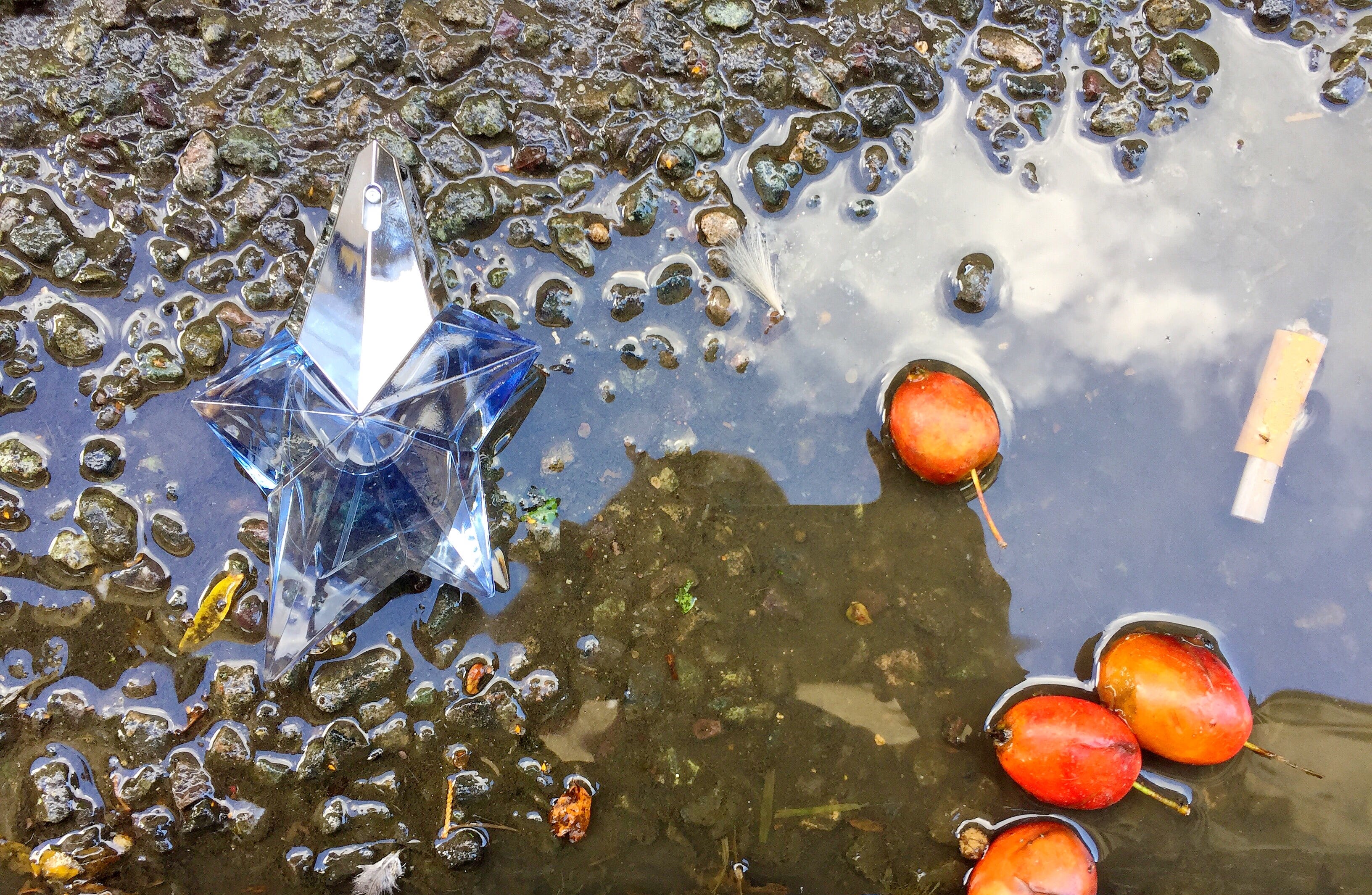 Angel By Thierry Mugler Why Great Perfumes Smell Like Death By Ollie Lansdowne W Gtd Medium