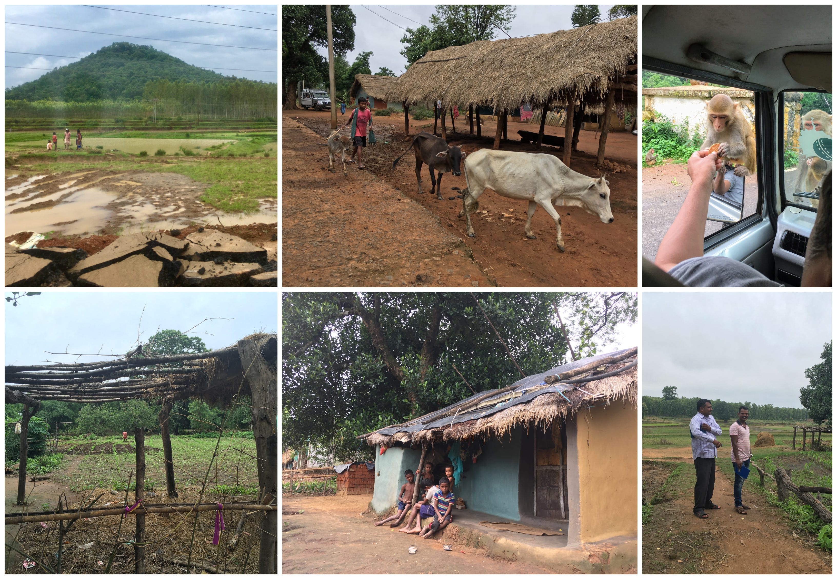 Download A Case Study In Tentulipadar Sumi Thenextnorm Medium For Free Get Wallpaper A Case Study In Tentulipadar Sumi Thenextnorm Medium For Android Free