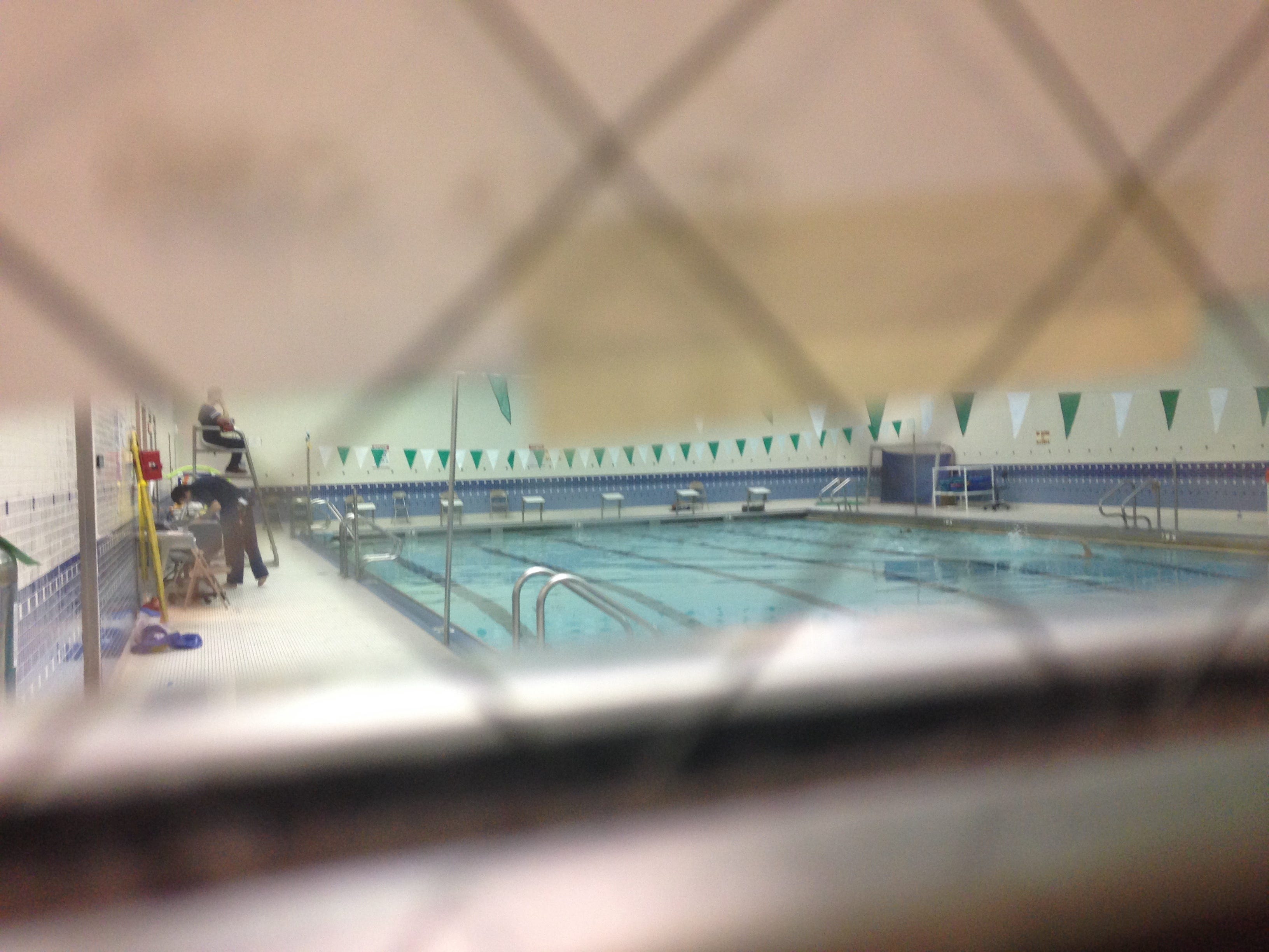 Swimming Social Pool 1 The Swim Journey Began At Chicago H S For Agricultural Sciences By Teresa Albano Medium Swimming Social Pool 1 The Swim Journey Began At Chicago H S For Agricultural Sciences By Teresa Albano Medium