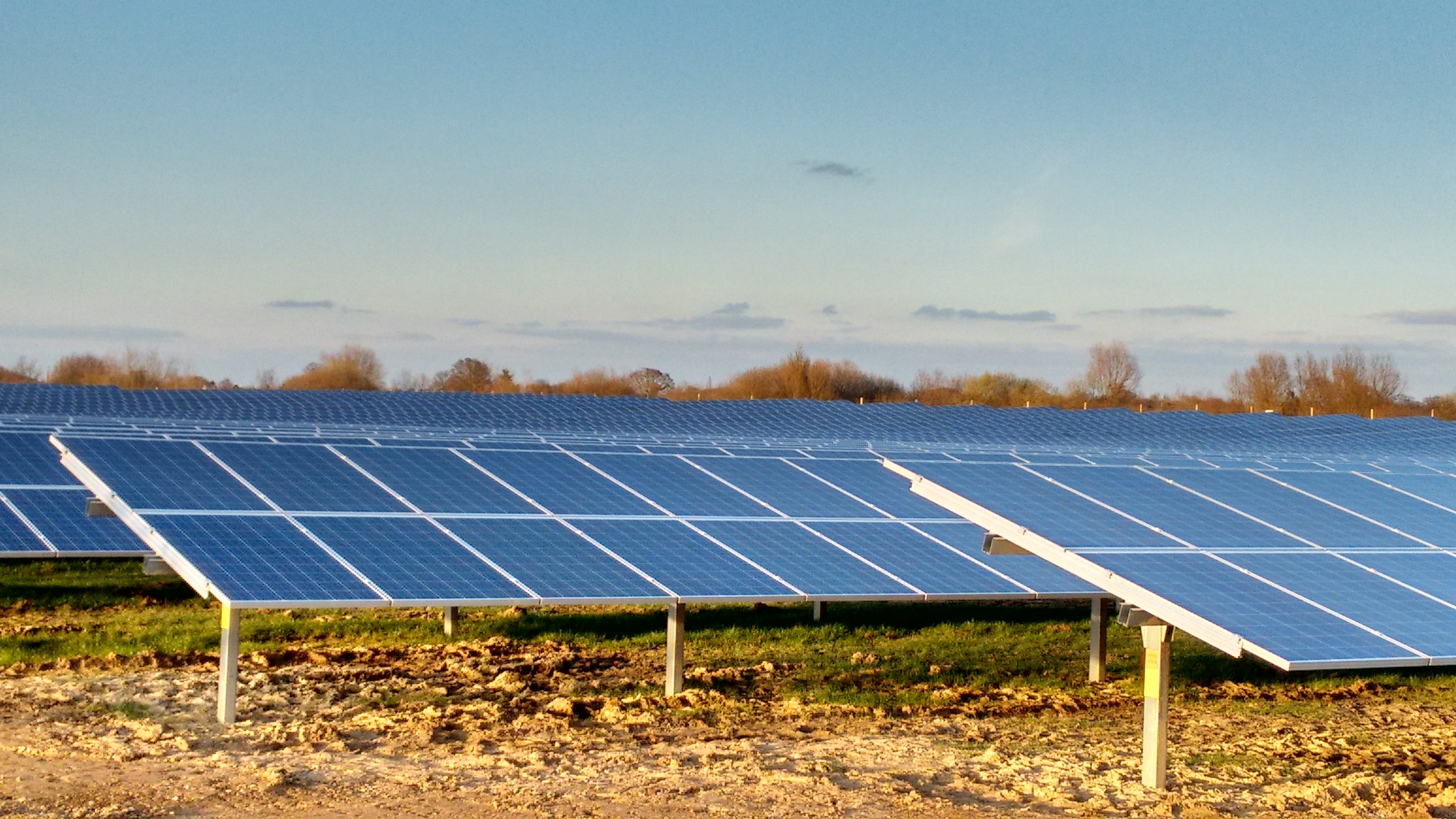 can you make money solar farming