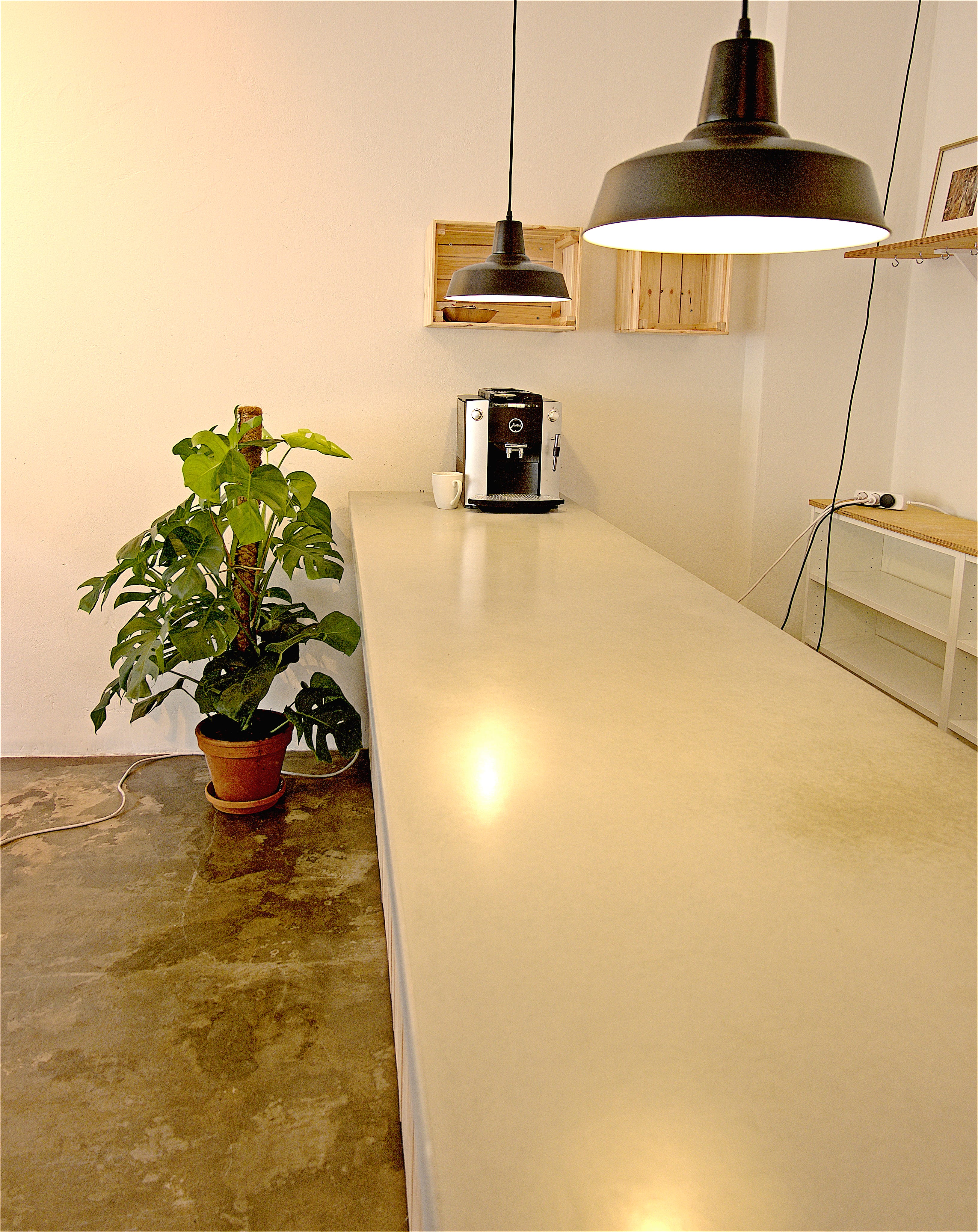 Plant Design Phiture Christine Lariviere Medium