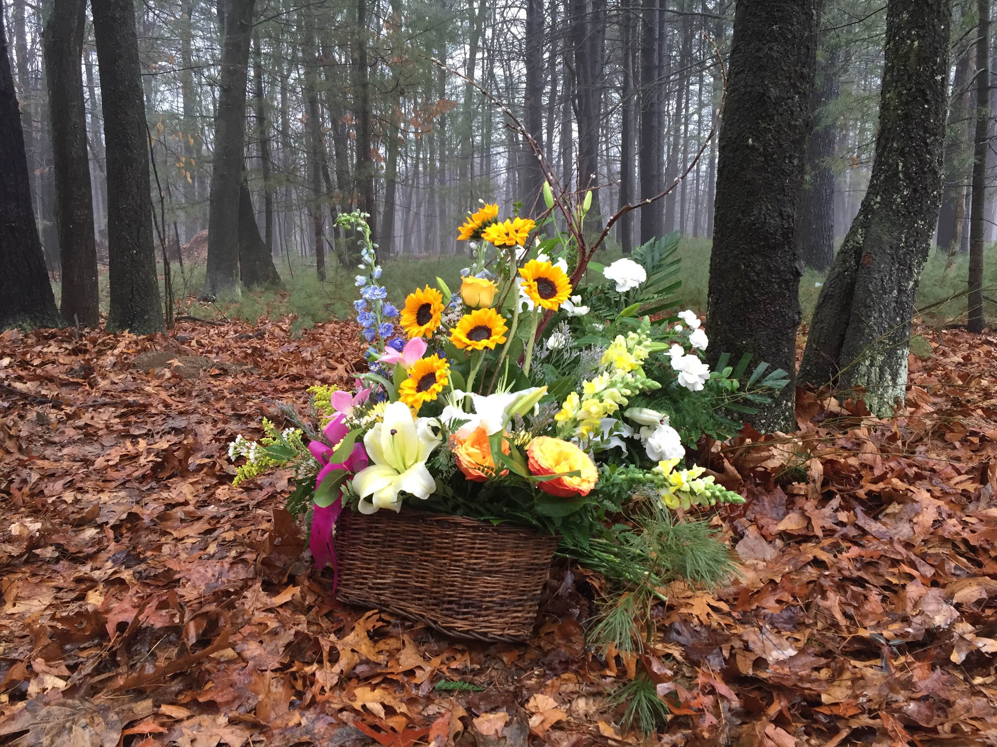 A Different Way Of Death Why The Alternative Funeral Movement Is