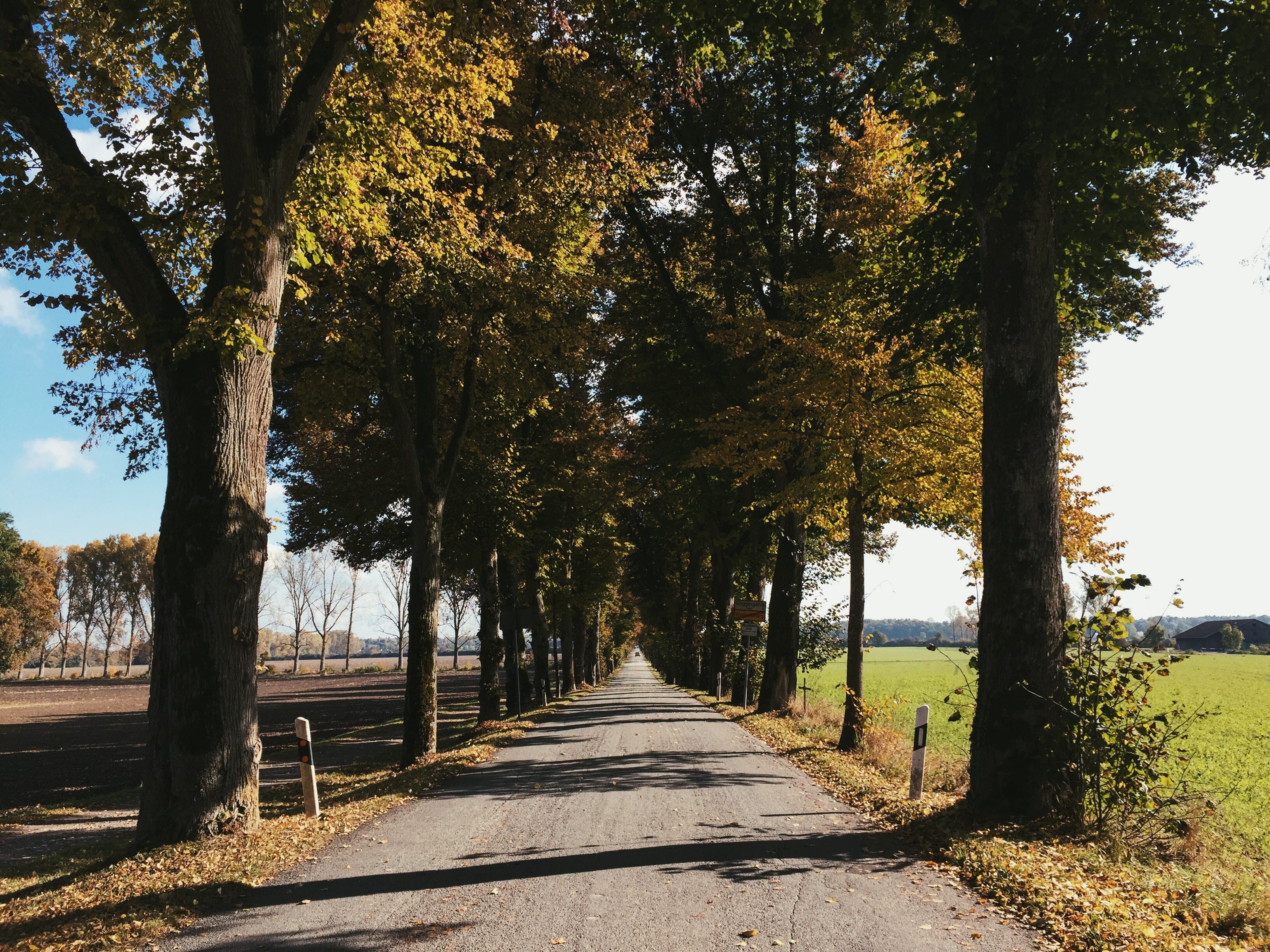 Exploring Augsburg: Western Woods Nature Park | by Franziska Egger | Medium