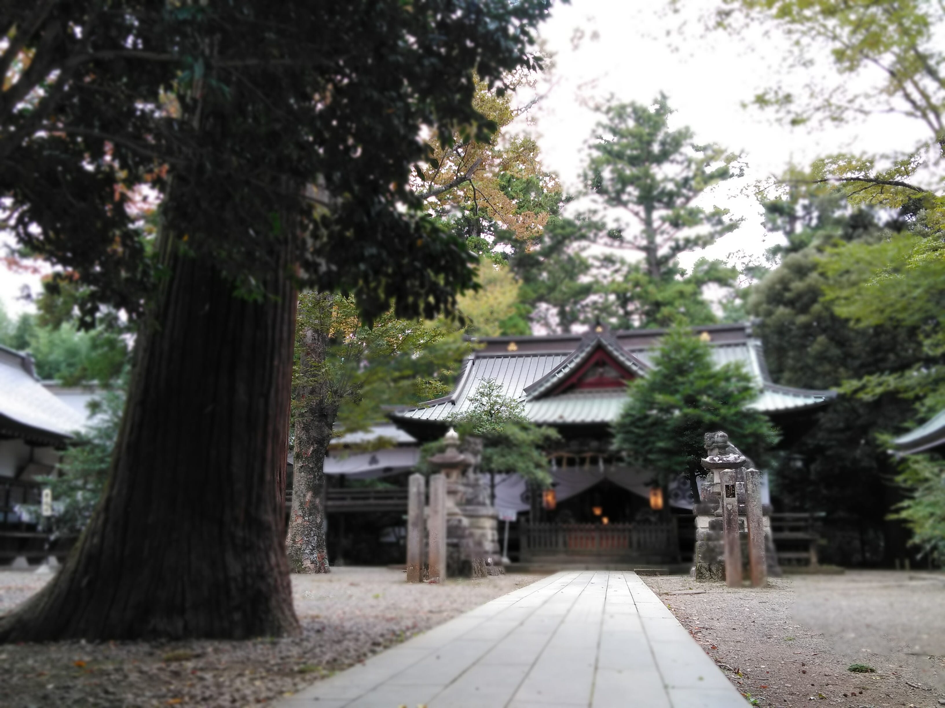 茨城 宿舍附近的 一之矢八坂神社 一之矢神社 宛如土地公的一之矢守護神 By Curlneko 自然捲毛貓in Japan Medium