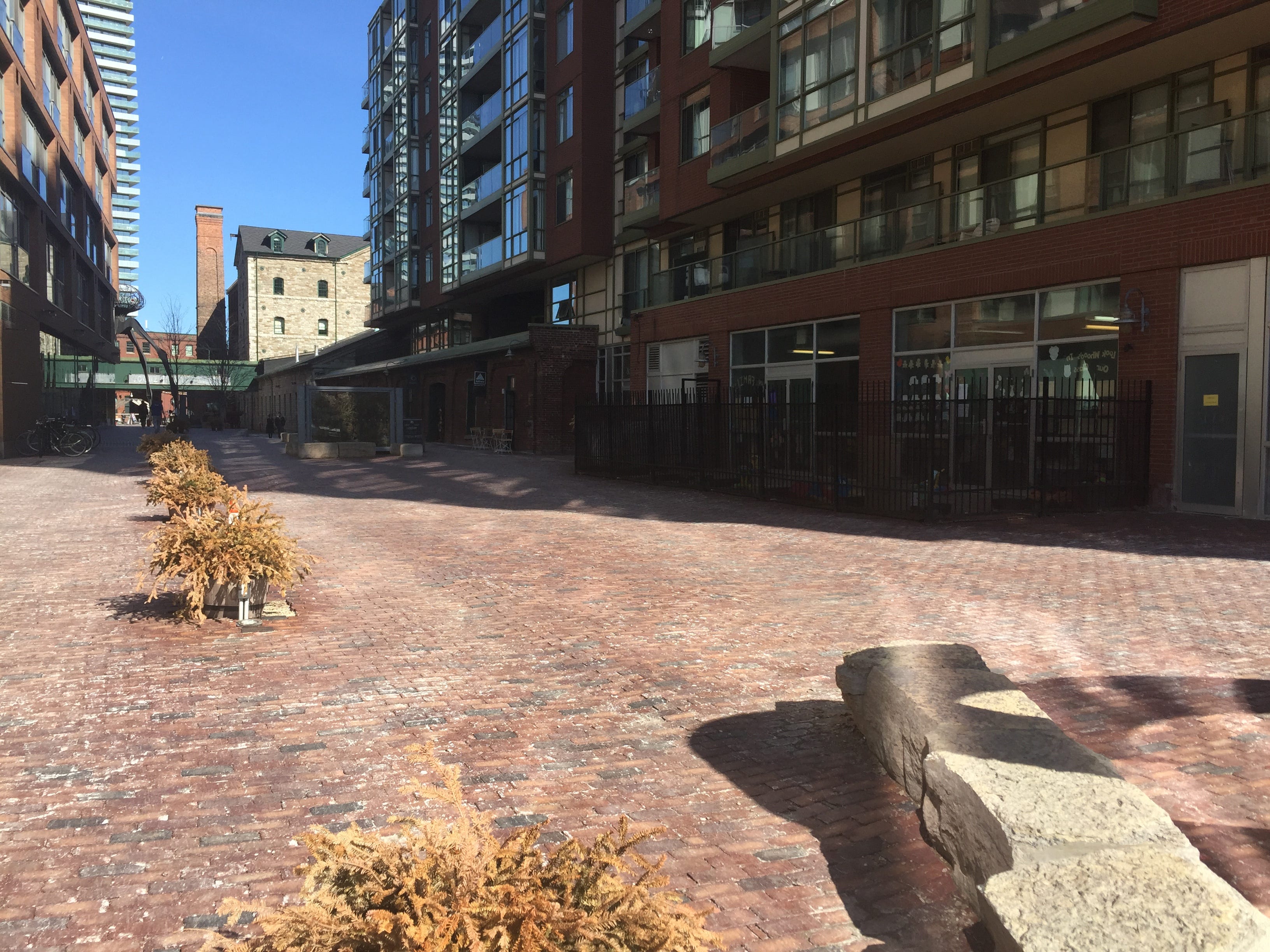 A night out case study answers picture