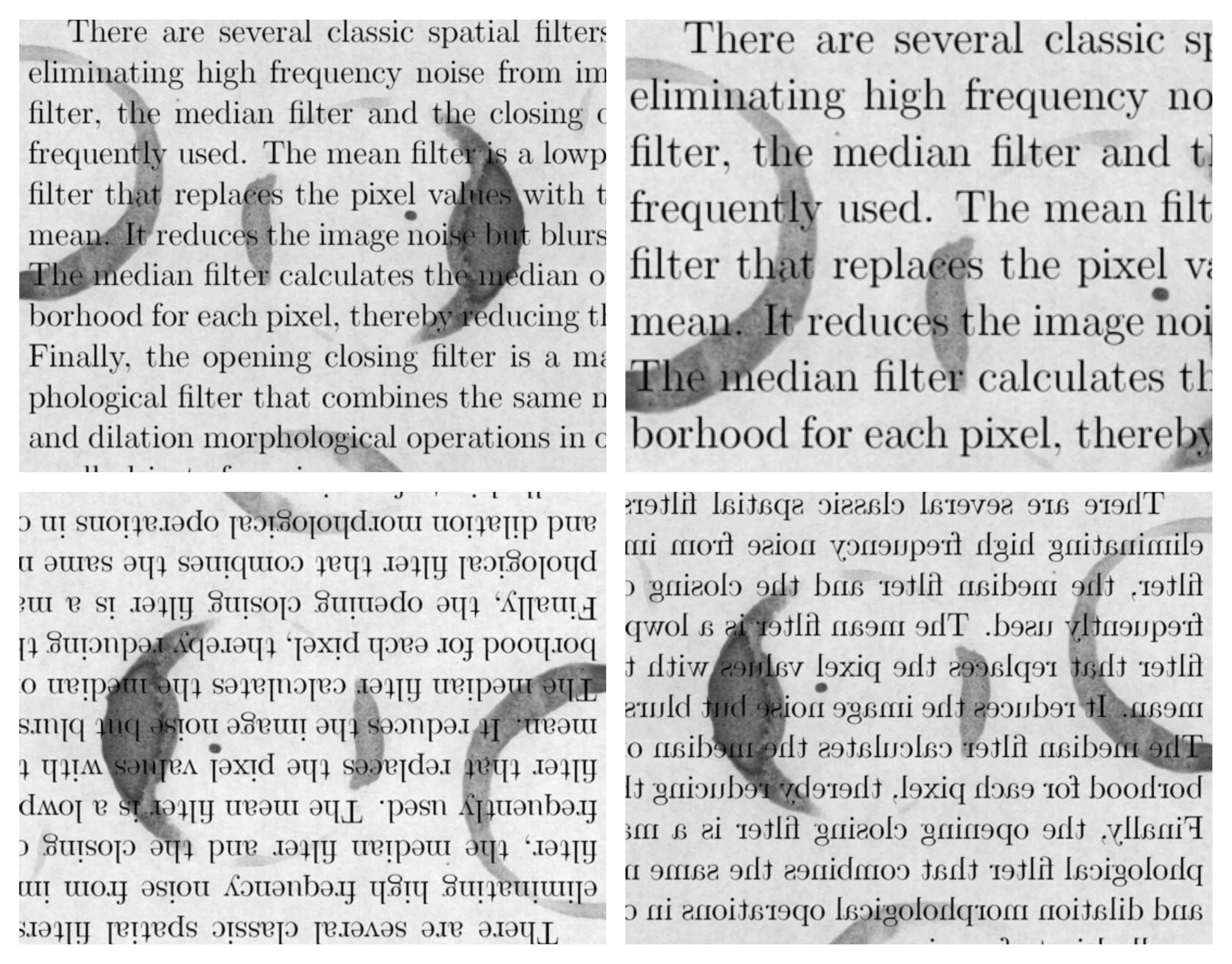 cropping flipping