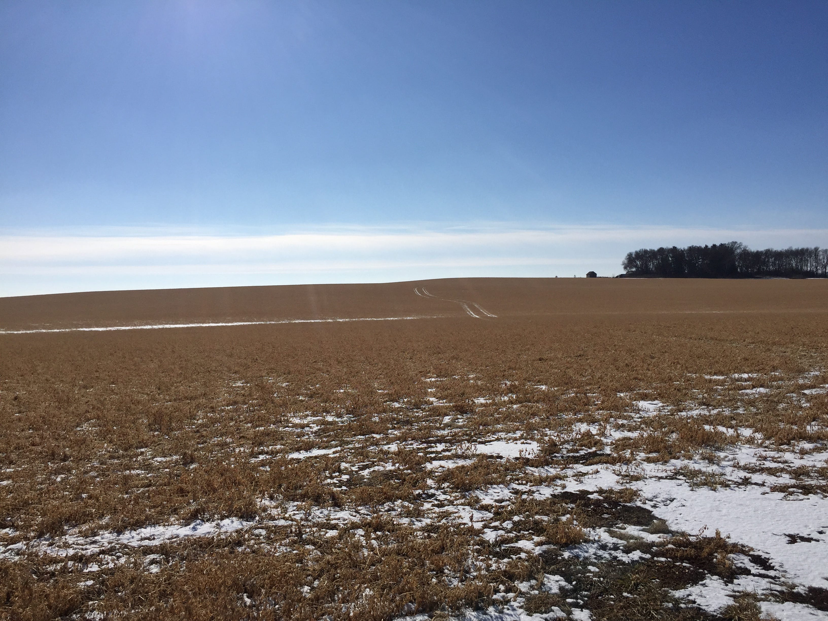 The Venerate Outpost. Meeting the stainedglass artist behind… by