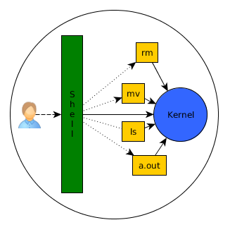 Typing ls -l in the shell. Shell and Kernel’s Relationship | by Sudeep ...