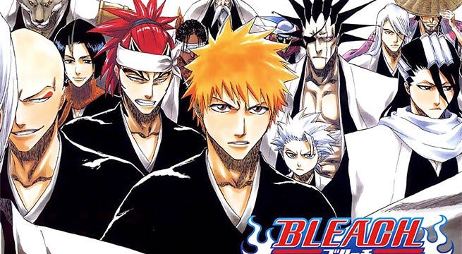 bleach dakimakura