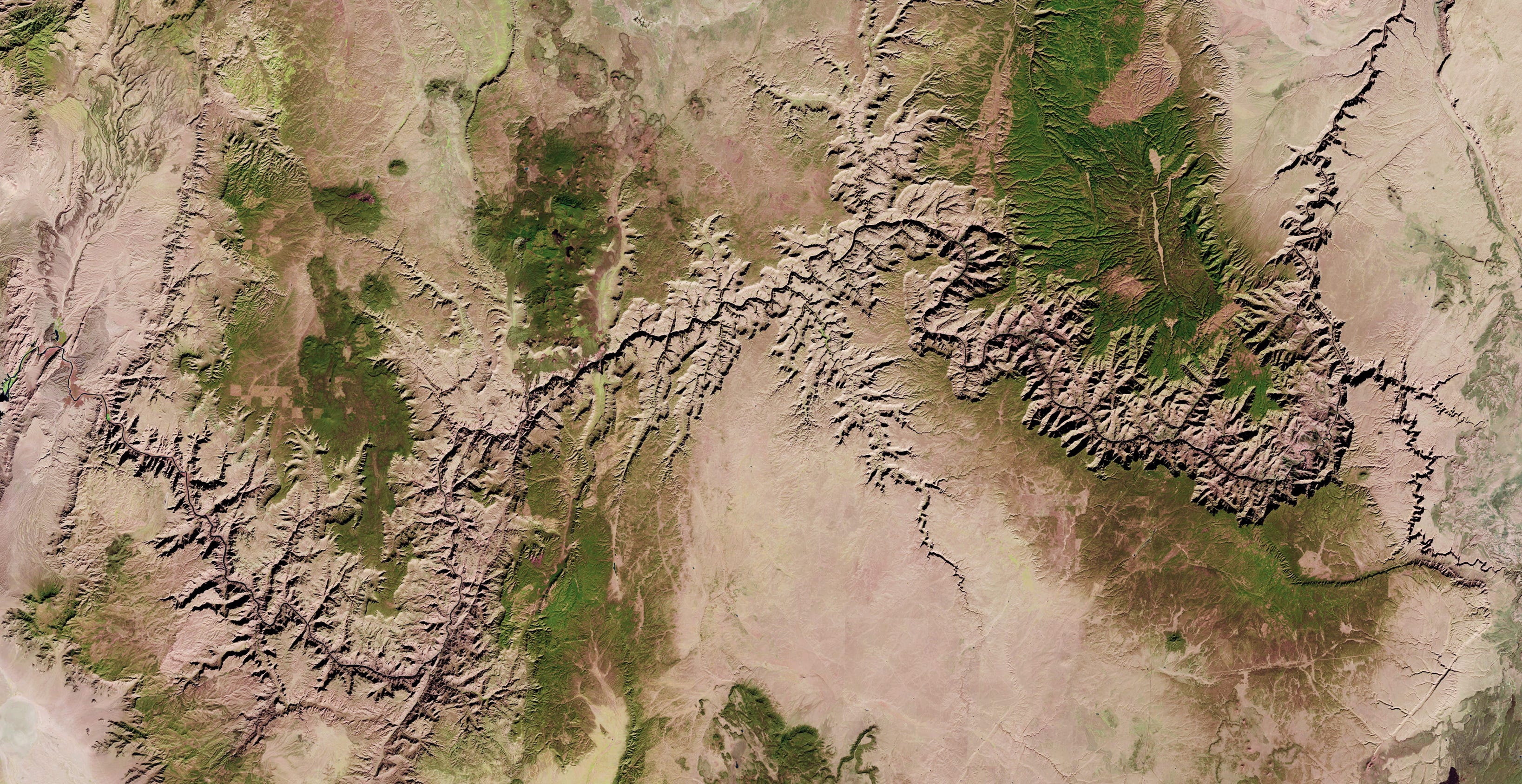 A satellite image of the Grand Canyon taken by Landsat 8.