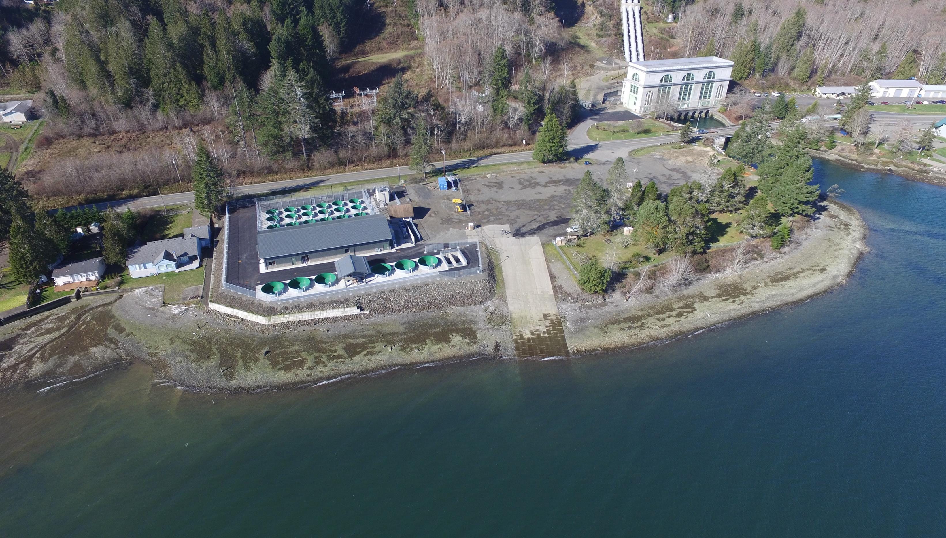 Power Spawns First UtilityOwned Fish Hatcheries in Washington