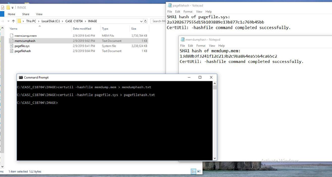 Forensic Report Sample Volatile Memory Acquisition Using Ftk Imager Lite By Vishal Thakur Medium