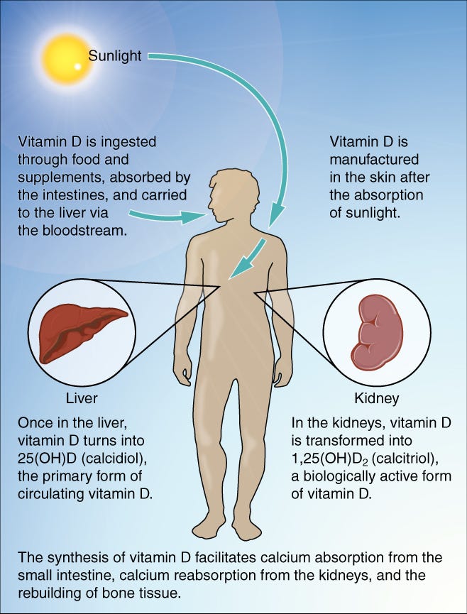 How To Prevent Vitamin D Deficiency Ray Ayuso Medium