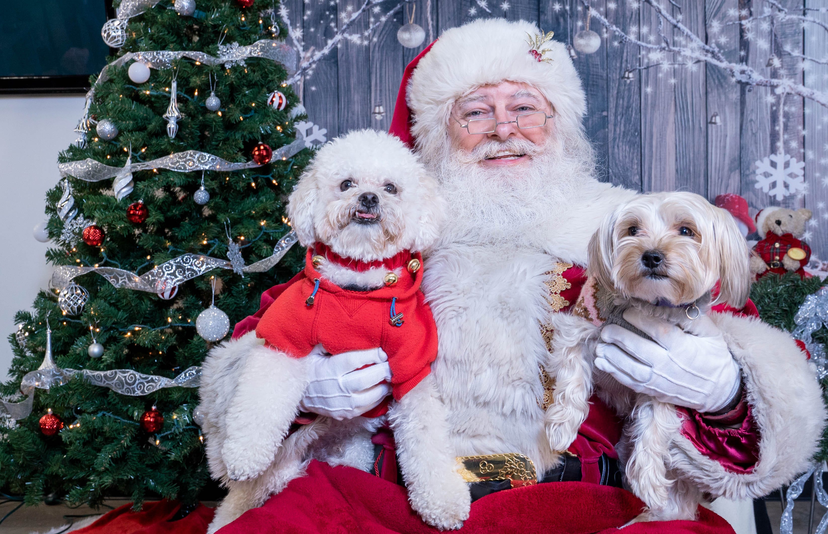 When Santa Came to Dilbeck. Santa has been busy this month bringing