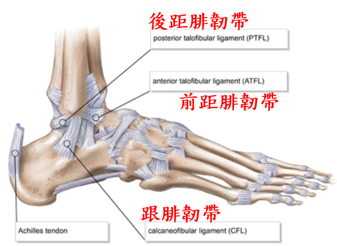 高踝扭傷 你喜歡運動嗎 By Hi Health Medium