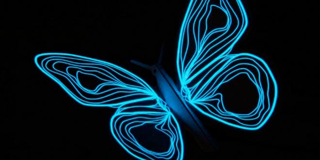 La mariposa y el orden dentro del caos | by Enrique F. Arques | Medium