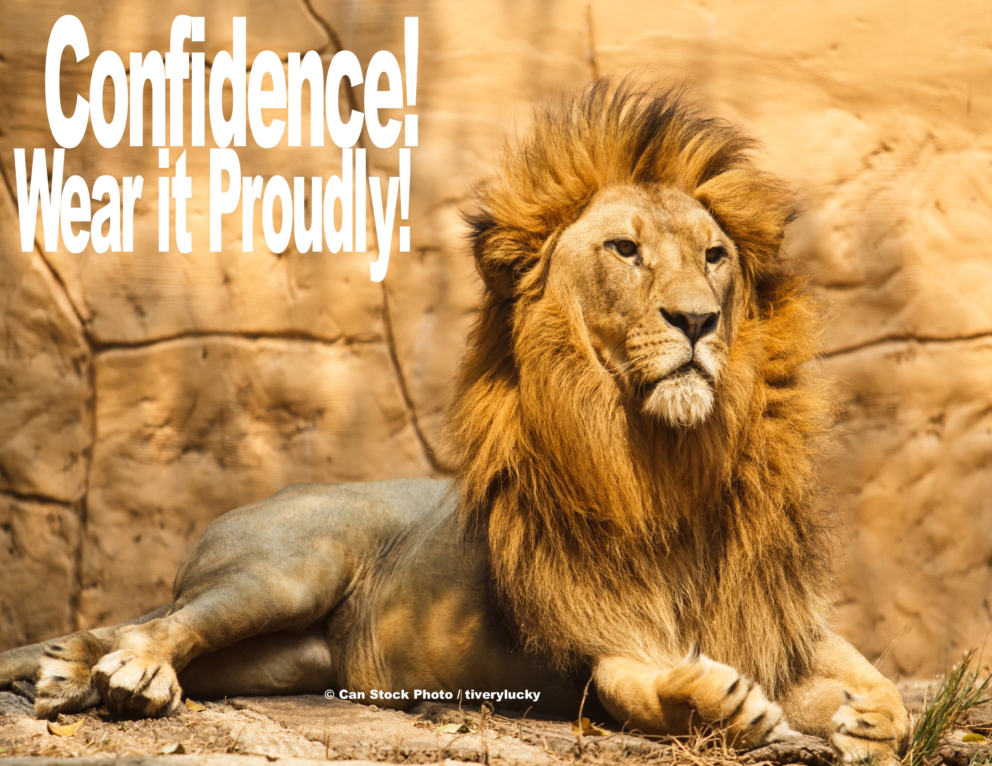 Build Your Confidence!. Confidence comes from a Latin word… | by J. A ...