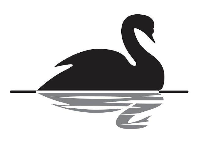 svinge service kaskade Book Review: The Black Swan by Nassim Nicholas Taleb | by Aastha | Medium