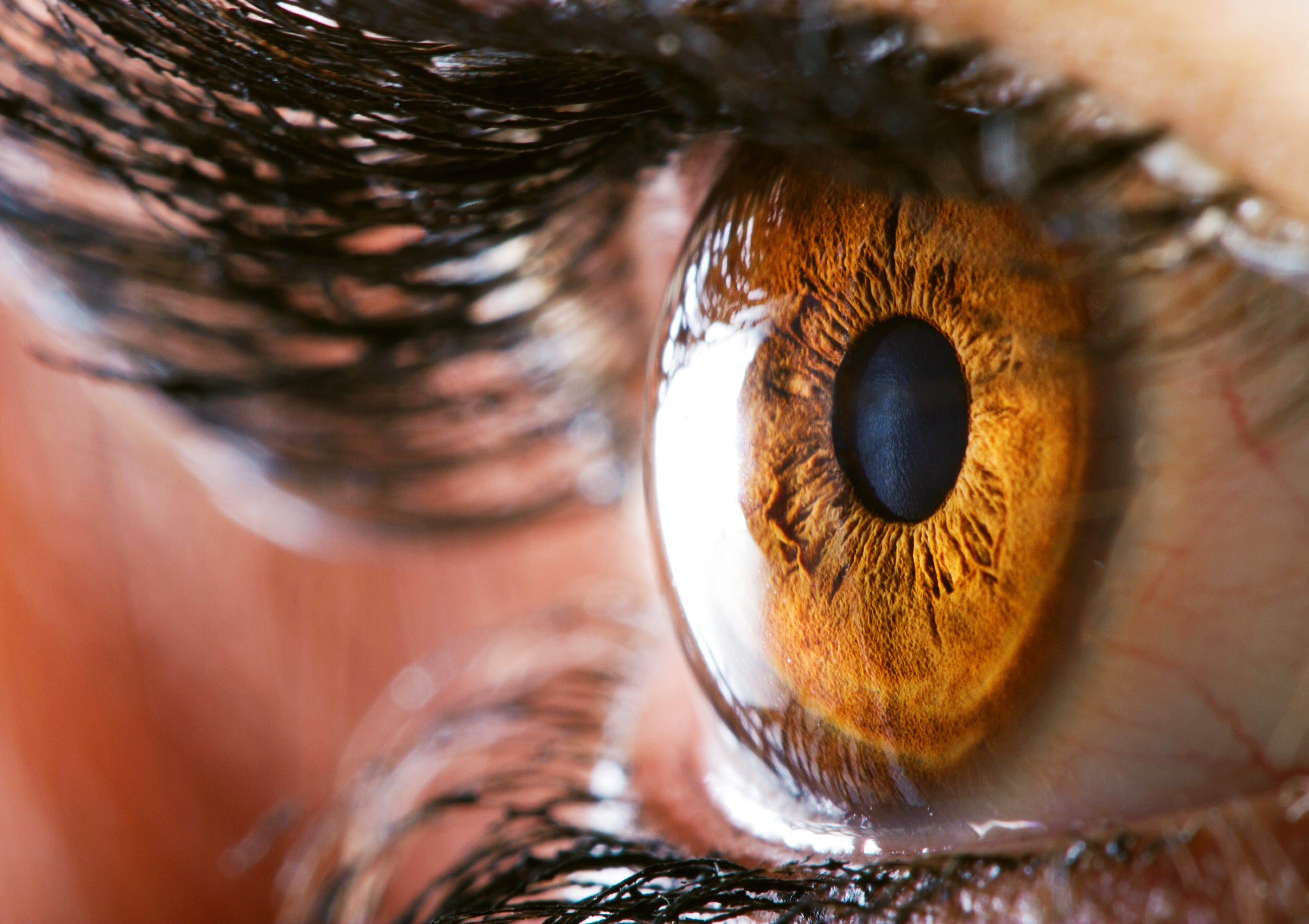 Human Eye Color Chart With Names