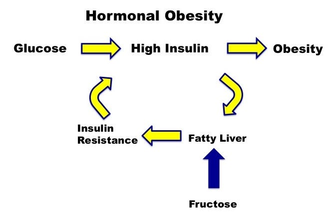 The Deadly Effects Of Fructose Part 2 By Dr Jason Fung Medium