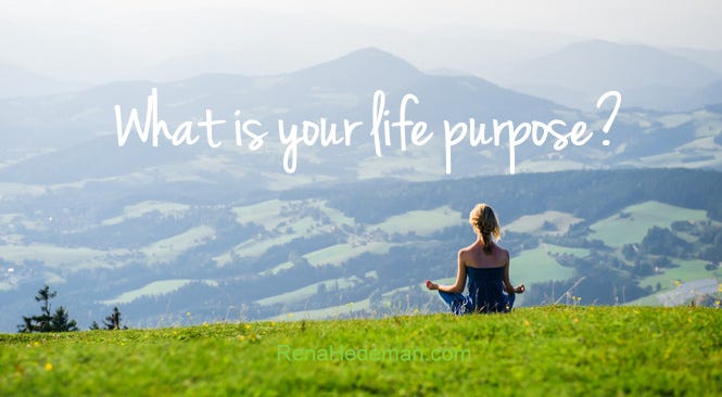 The Quest For The Purpose Of My Life Is Killing Me By Charul Pant Medium The Quest For The Purpose Of My Life Is Killing Me By Charul Pant Medium