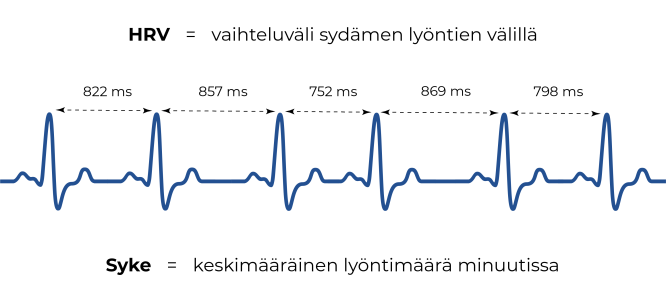 Mitä sydämen sykevälivaihtelu (HRV) voi kertoa unesta | by Perttu  Lähteenlahti | Nyxo | Medium