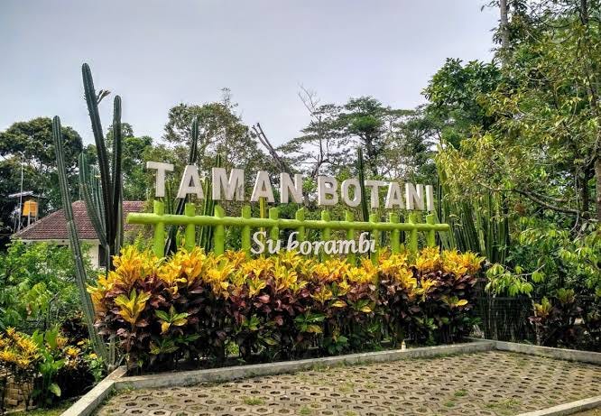 Taman Botani Sukorambi Tempat Belajar Dan Berwisata