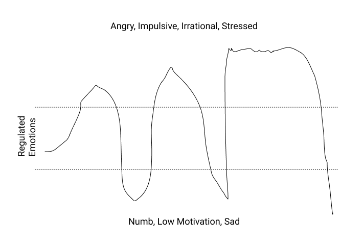 Regulating Emotions The Most Important Skill No One Bothered To