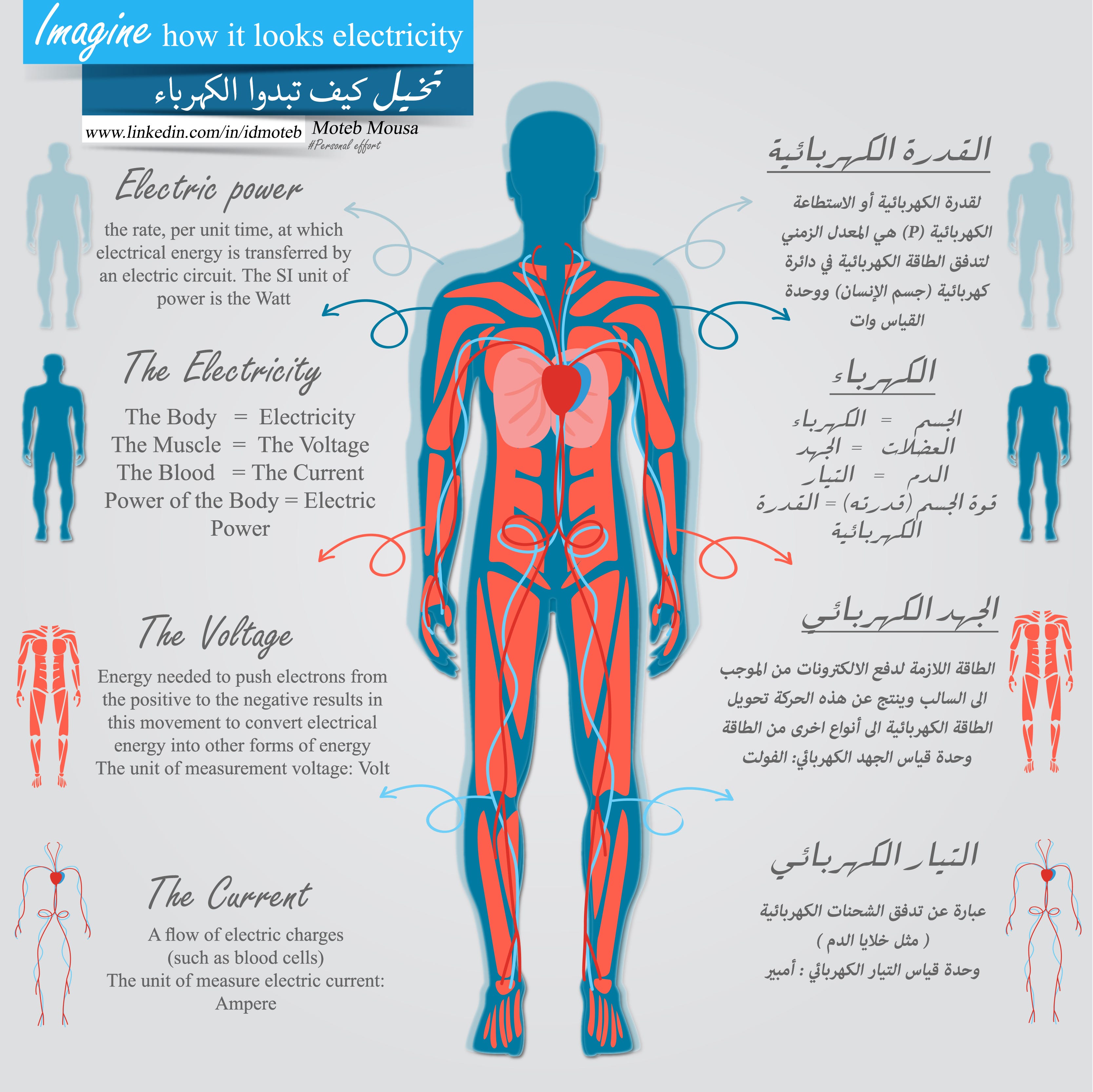 Infographic Imagine how it looks electricity by Moteb Alenazi Medium