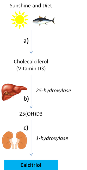 The Vitamin D Crisis In End Stage Renal Disease Juan