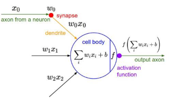 Recall that inputs x0,x1,x2,x3……xn and weights w0,w1,w2,w3……..wn are multiplied and added with bias term to form our input.