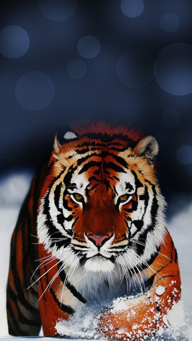 虎と雪 By Iphone Wallpaper Medium