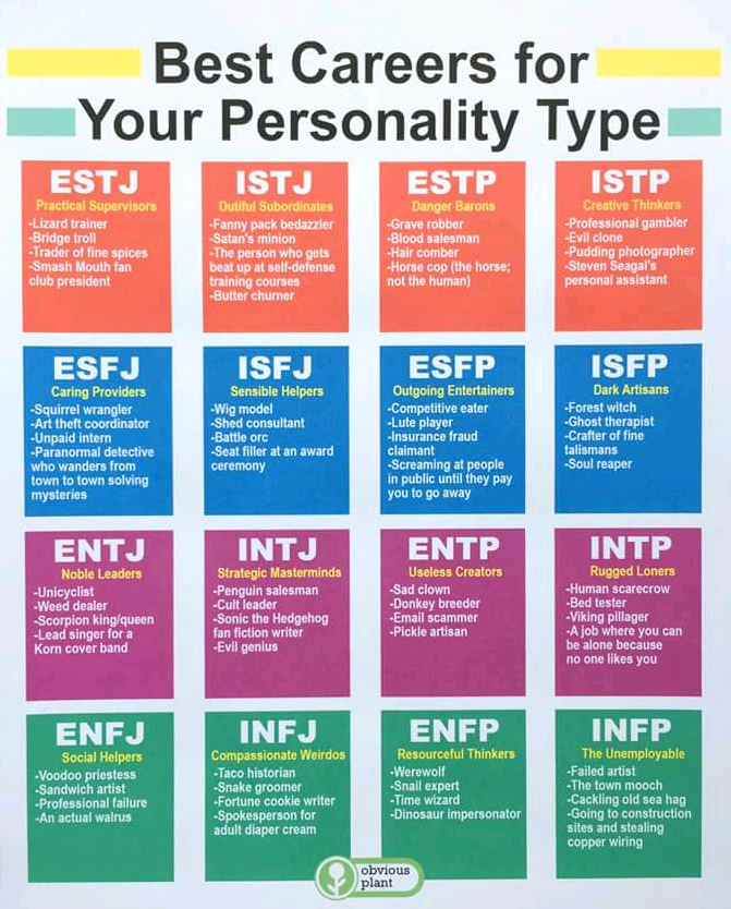 Your Mbti Career Guide By Tom Mccallum Medium
