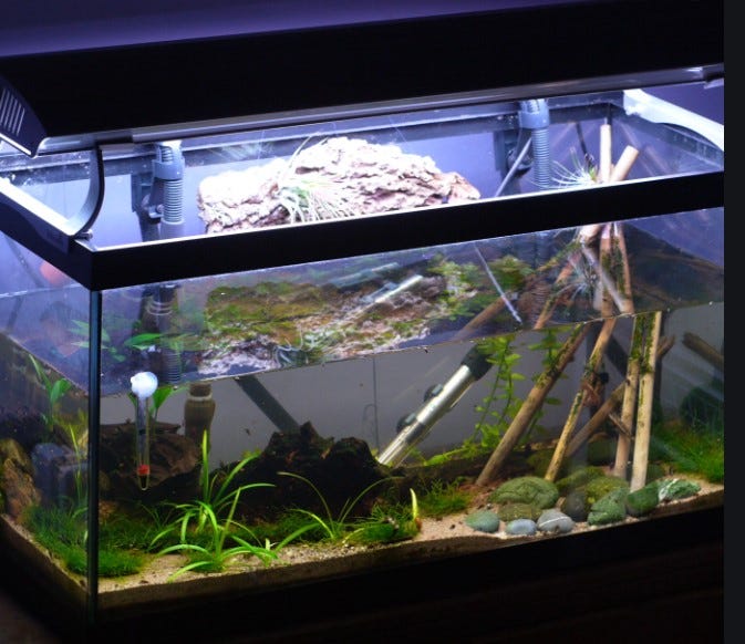 acrylic aquarium kit