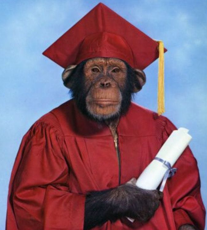 class-of-2025-college-admissions-medium