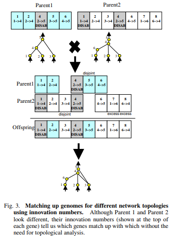 Efficient Evolution Of Neural Network Topologies Paper Summary By Ben Phillips Medium